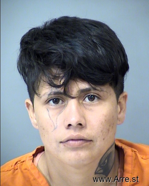 Kassandra Annette Suarez — Arrest Record — arre.st
