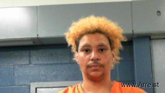 Amber Nichole Thacker — Arrest Record — arre.st