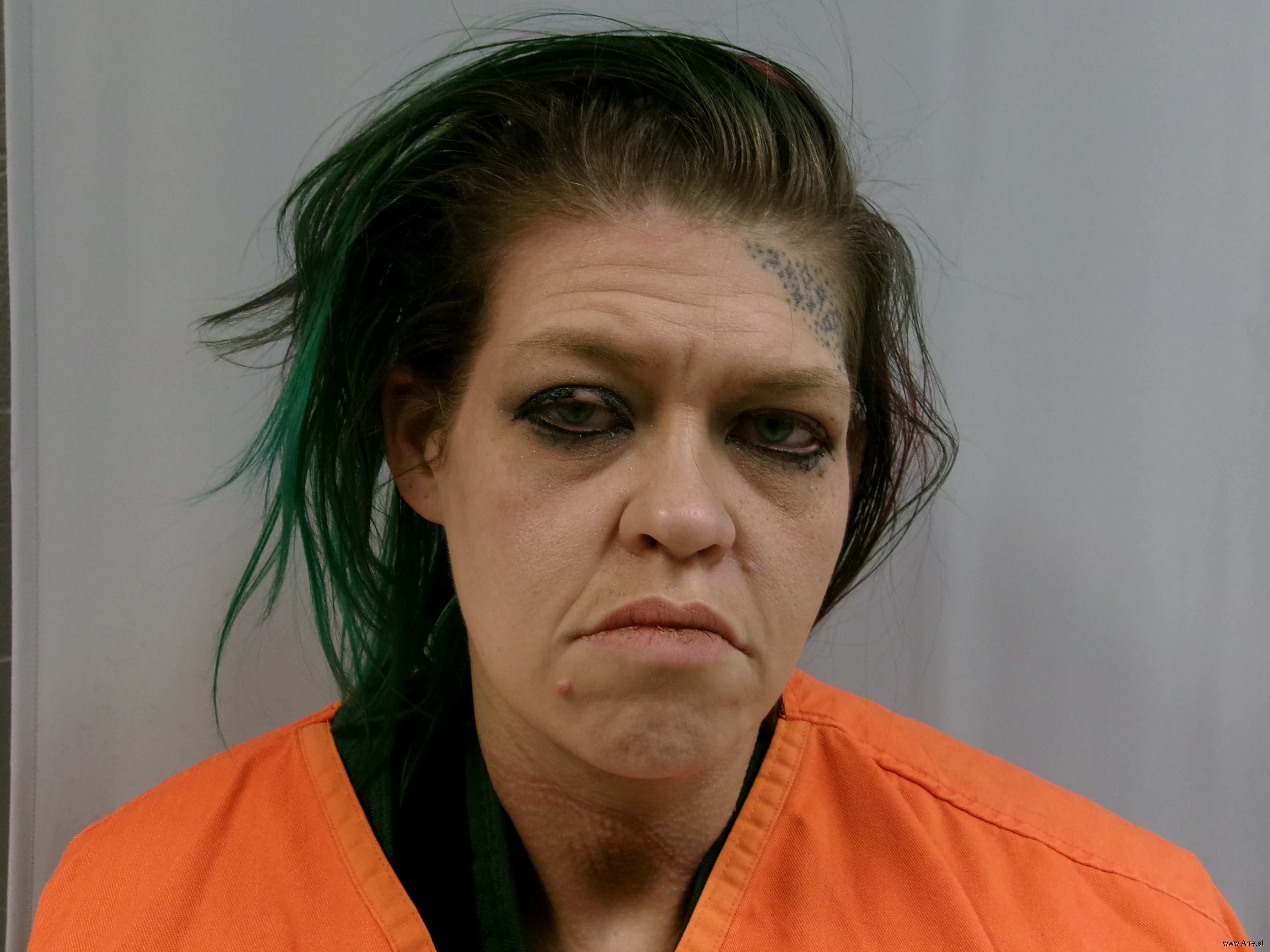Michelle Riordan Brittney Michelle Riordan — Arrest Record — arre.st