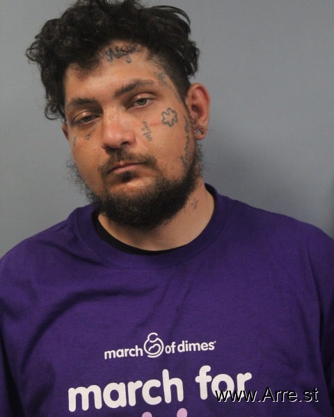 Daniel Ray Reed — Arrest Record — arre.st