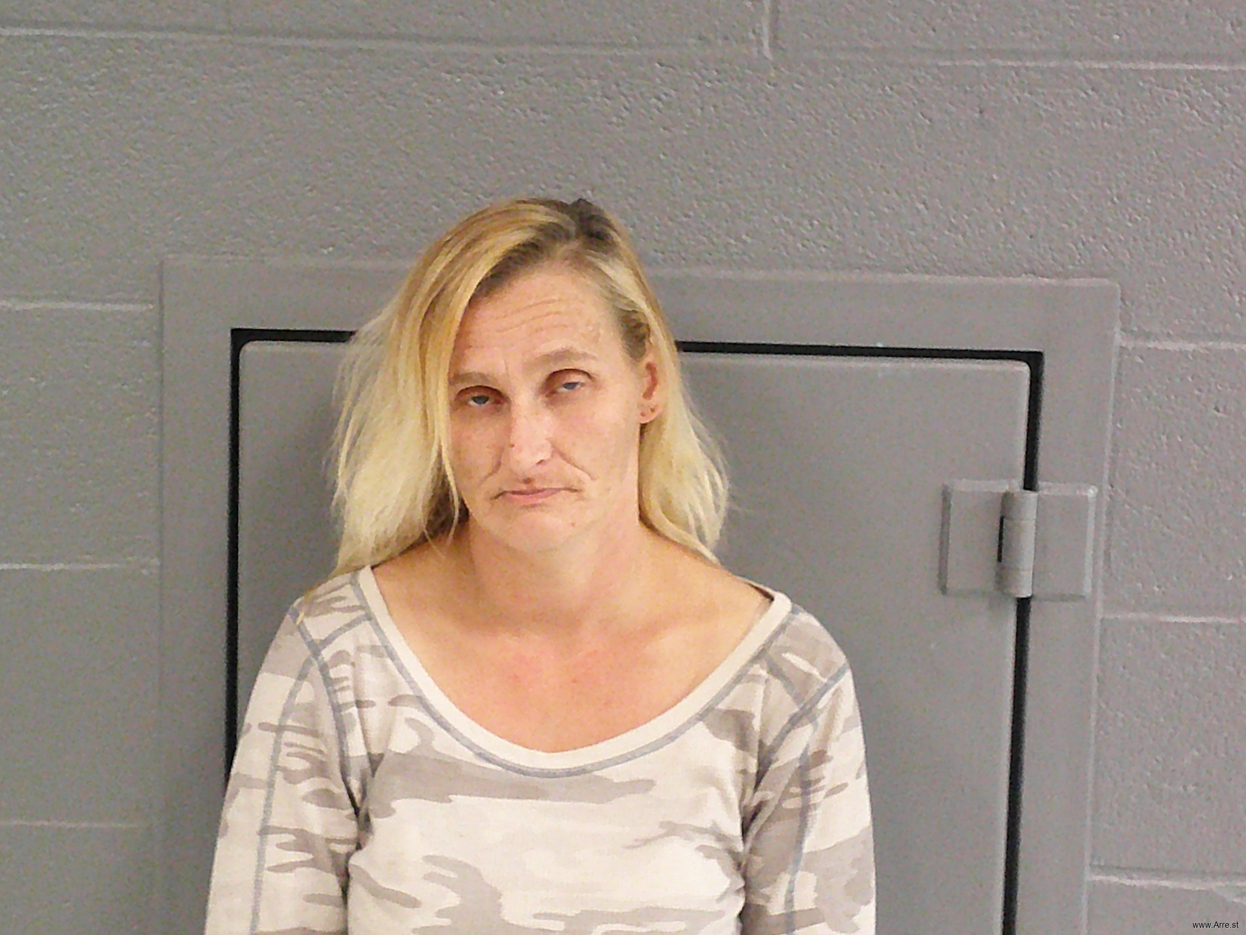 Michelle Marie Casteel — Arrest Record — arre.st